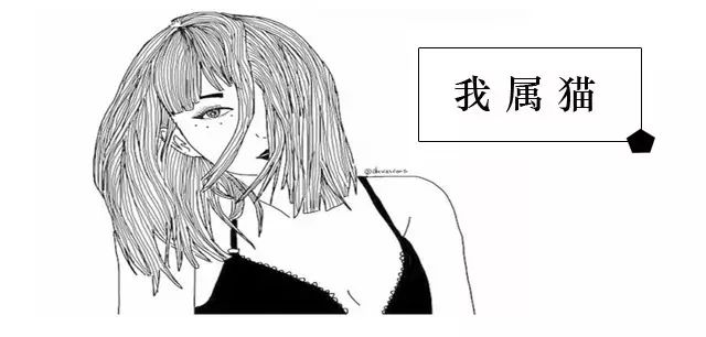 始于颜值陷于才华忠于人品整首诗,始于颜值陷于才华忠于人品意思