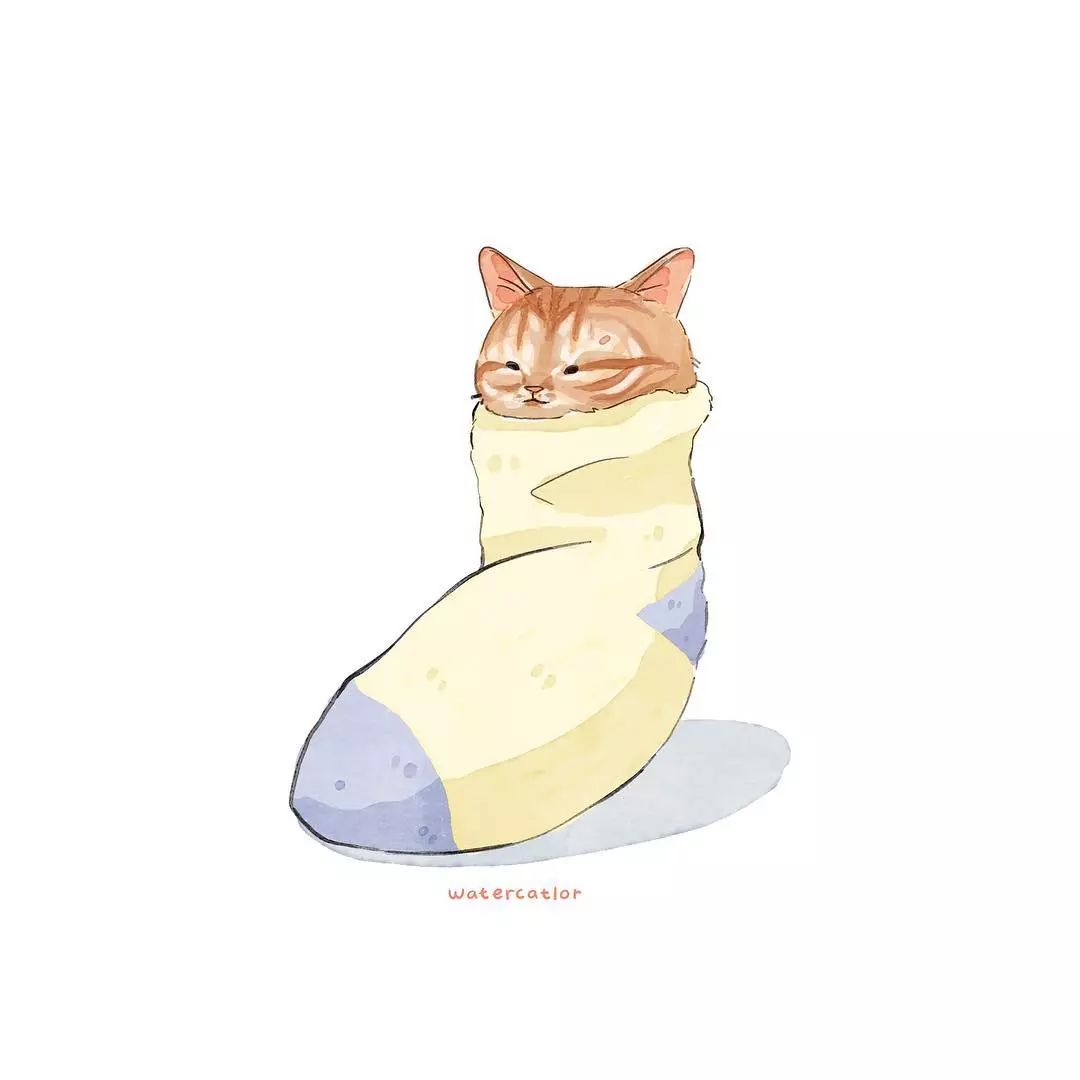 猫是液体的证据找到了吗,猫难道真的是液体吗