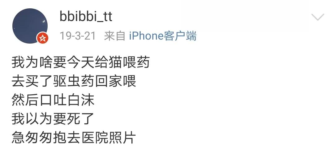 猫吃完药之后吐白沫是什么原因,猫吃完药吐白沫正常吗