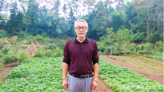 老村长电商,老村长农村电商