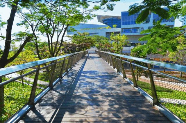 深圳周末春游好去处,深圳春游赏花去哪里好