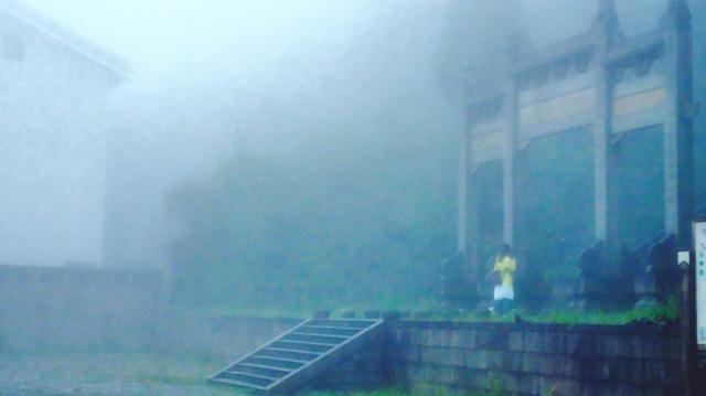 福鼎旅游数据,福鼎纪录片