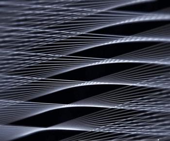 保时捷男袜子,女袜100%纯棉防臭袜子正品男士