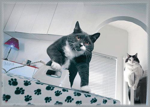 别笑，这些淘宝山寨灯说不定你家也有