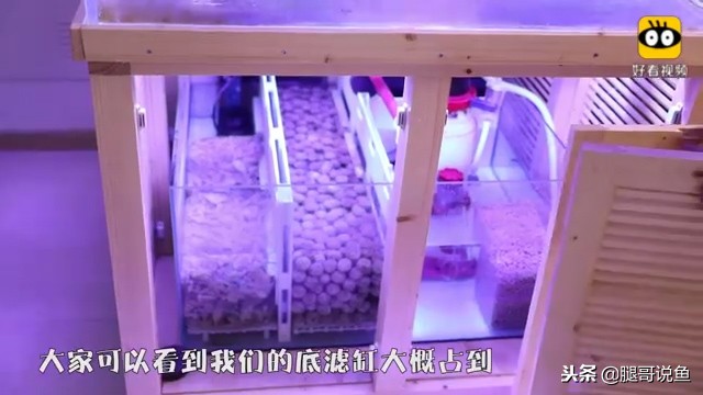 大缸什么过滤效果最好,什么过滤方式小缸效果最佳