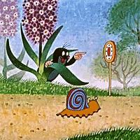 有什么好看的科普类动画片,好看的科普动画片