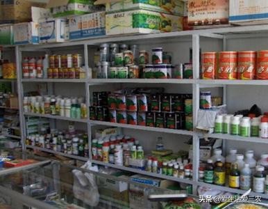 适合农村上班的副业,还有哪些适合普通人的工作