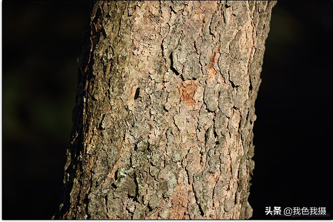 佳能EF600mmf/4LISIIIUSM镜头评测