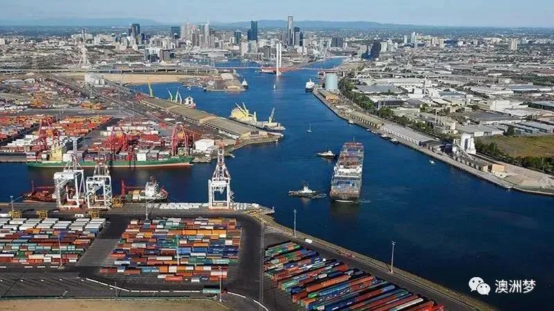 中国游客抵达日本品尝海鲜,中国吃货到国外