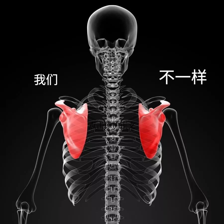 十分钟带你了解level,一分钟带你了解高低肩