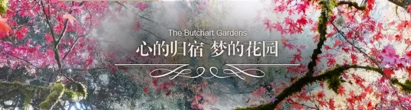 布查德花园的秋冬季,全球最美花园布查特花园