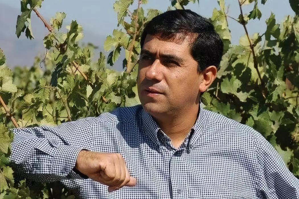 世界顶级葡萄酿酒大师,中国第一位葡萄酒品酒师大师