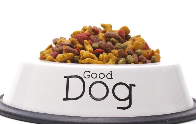 泰迪狗流眼泪吃什么,泰迪狗流清水鼻涕怎么治疗