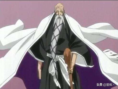 死神护庭十三番队详细介绍,死神护庭十三队长