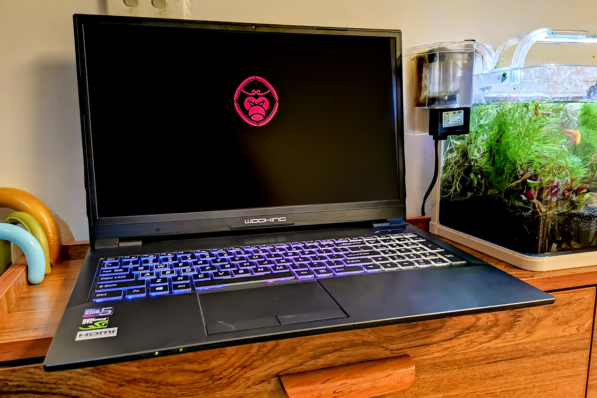 笔记本处理器可不可以换,笔记本处理器能更换吗