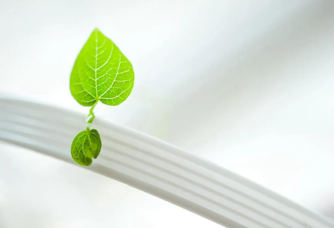 做自己灵魂的摆渡人的意思,做自己生命的摆渡人