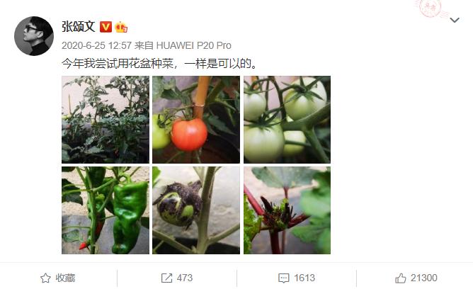 真想捧红他，但他不愿意