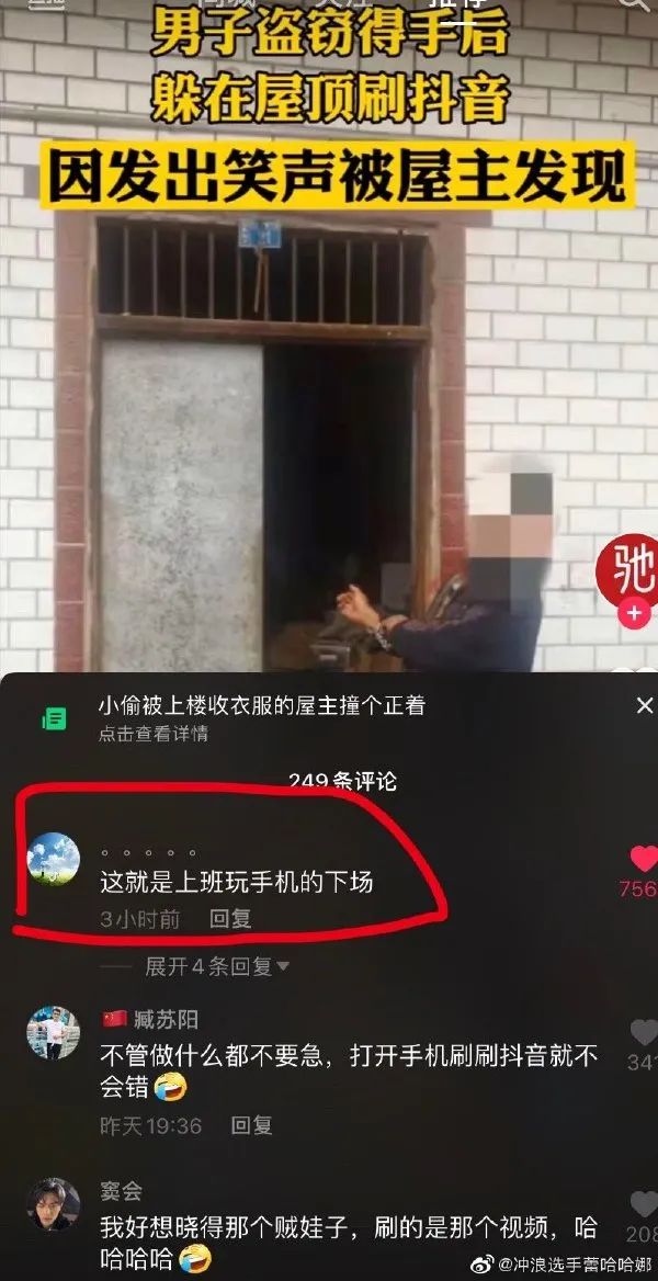 看到铲屎官终于回家，立即安心地睡着了|冷段子1986