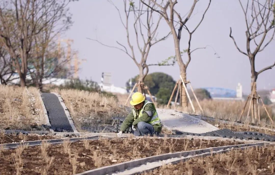 活力岛还会涨吗,活力岛活力环