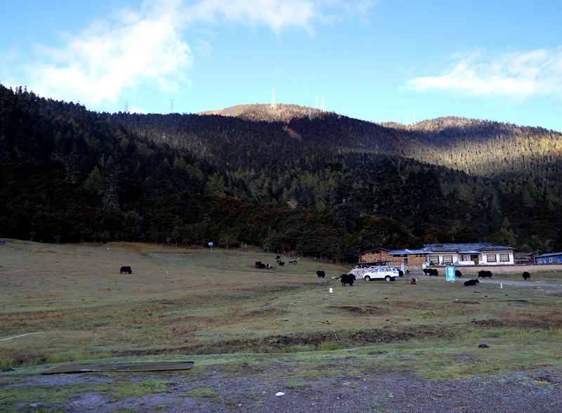 西藏珠峰四天旅游攻略,西藏珠峰四日游最美