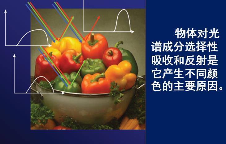 0基础ps入门教程,ps0基础教程新手入门修图