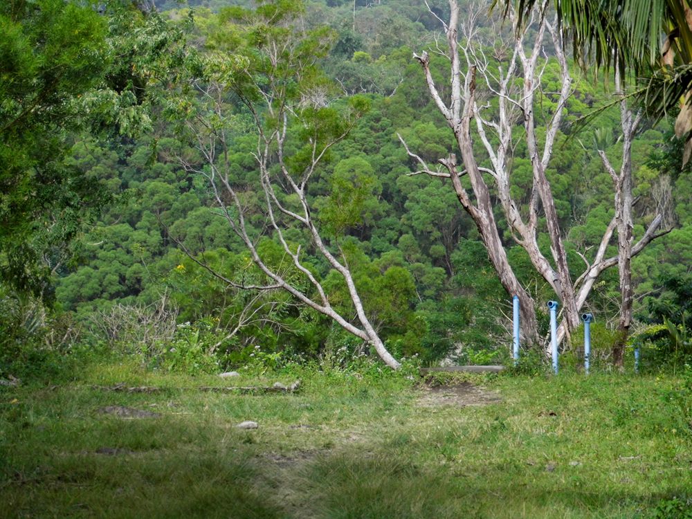 菲律宾游散记（46）-杜马盖地（4）：火山口真正的温泉