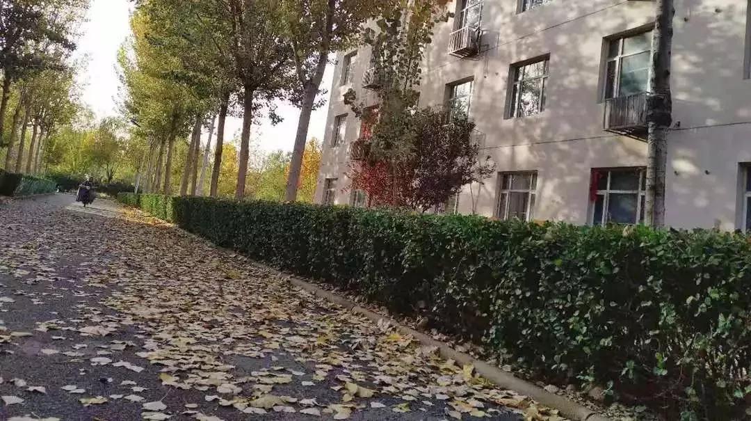 天津市独立院校（四）天津财经大学珠江学院