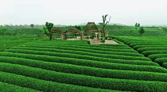 最美白衣战士,最美的白衣战士完整版