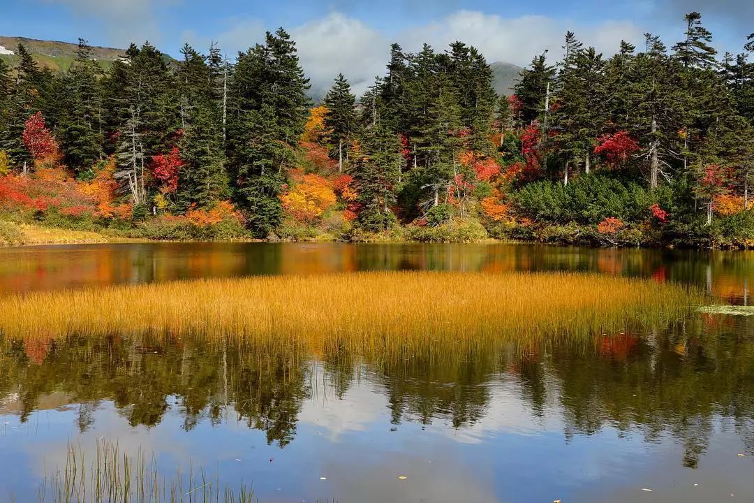 做个‘追枫少女’领略红叶之美！