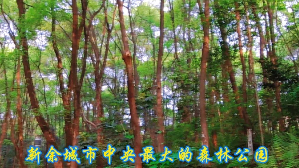 春日新余,美丽钢城新余