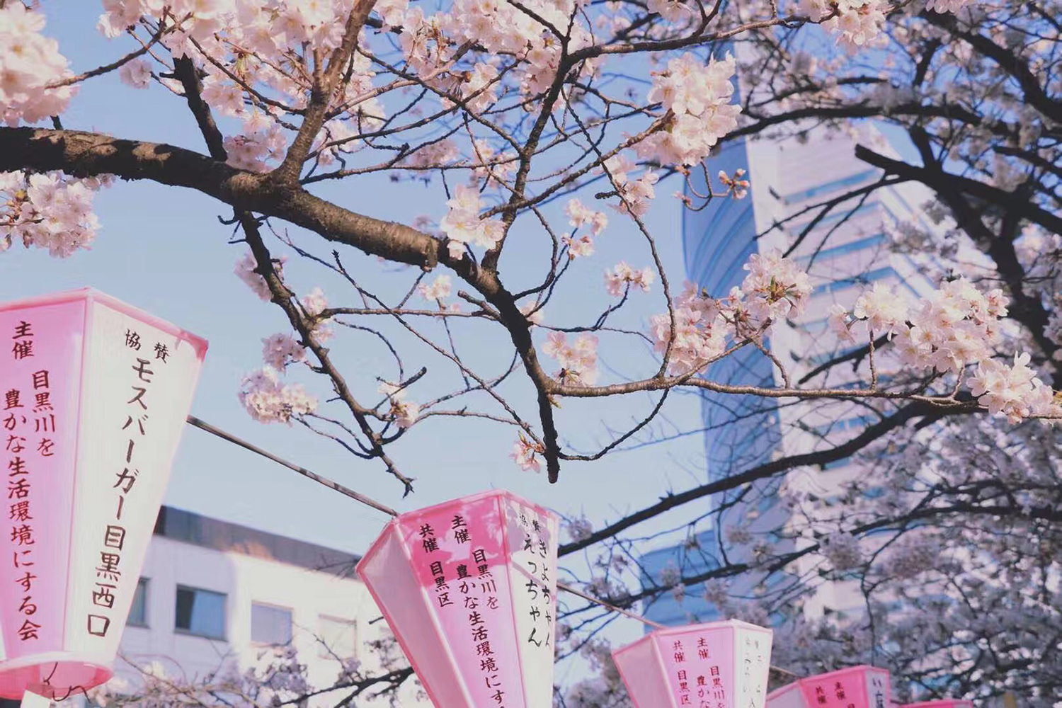 日本留学行前准备攻略收藏篇,办理日本签证应注意的事项