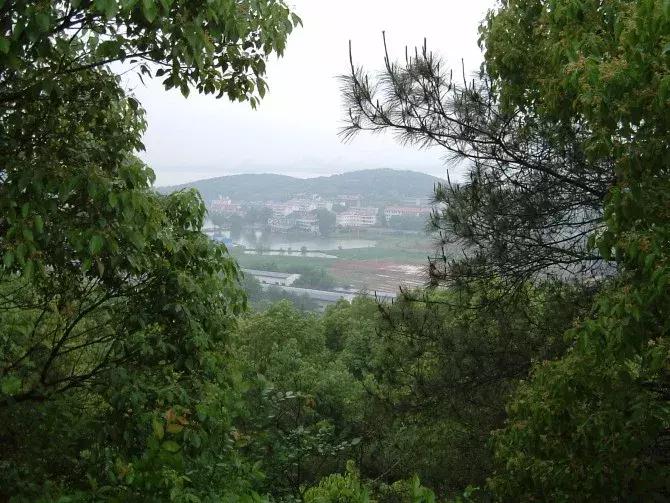 笑cry！818武汉高校的江湖别称，你的母校中枪了吗？