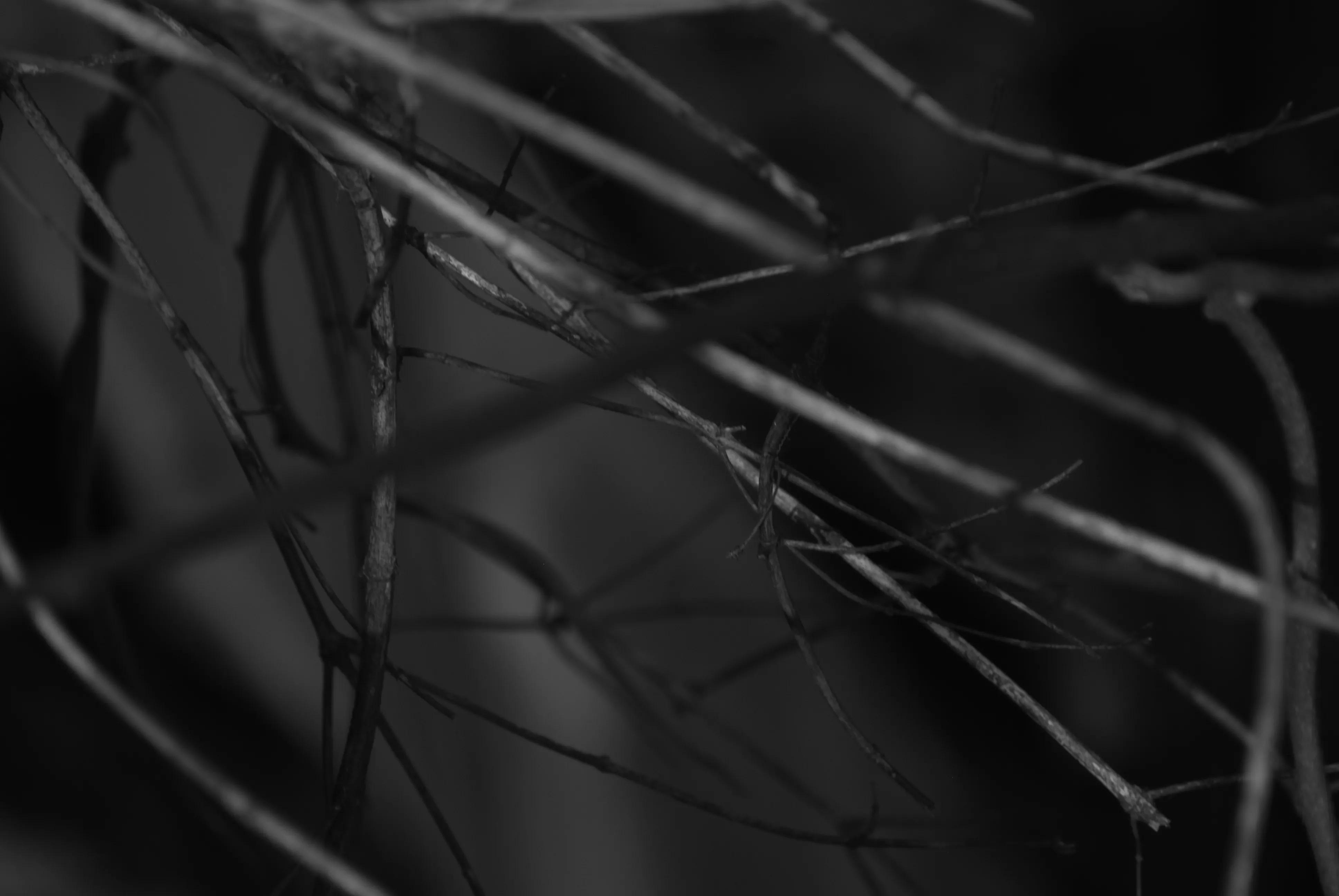 1000元二手全画幅单反相机推荐,2022最建议买的二手单反相机