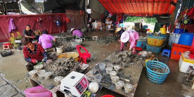 福州最便宜的海鲜渔村,福建海鲜最多的地方是哪里