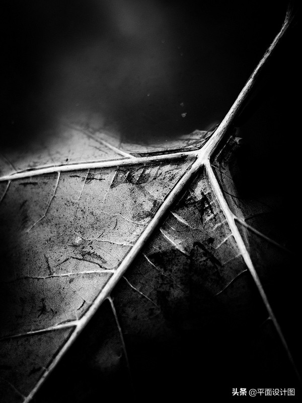 经典延续儿时回忆录,ricohgr效果