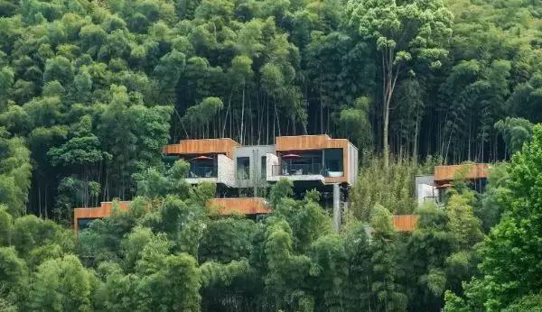 遗世独立的隐居酒店，大自然的馈赠——宁海安岚酒店