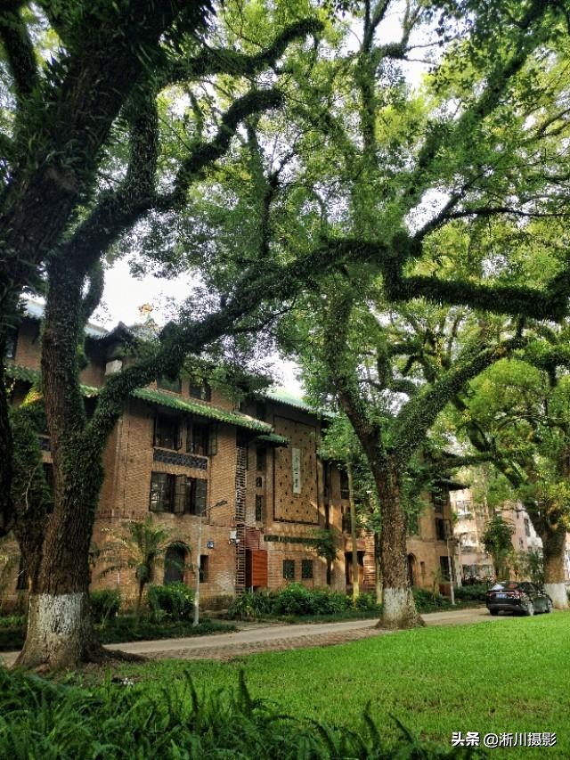 中国最美丽的校园照片,中国最美丽的校园中山大学南校区