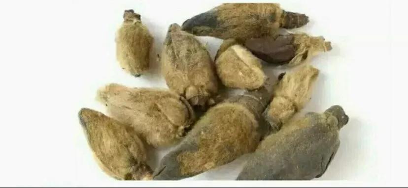 四十八款香料的解析与认知,四十八种香料解析