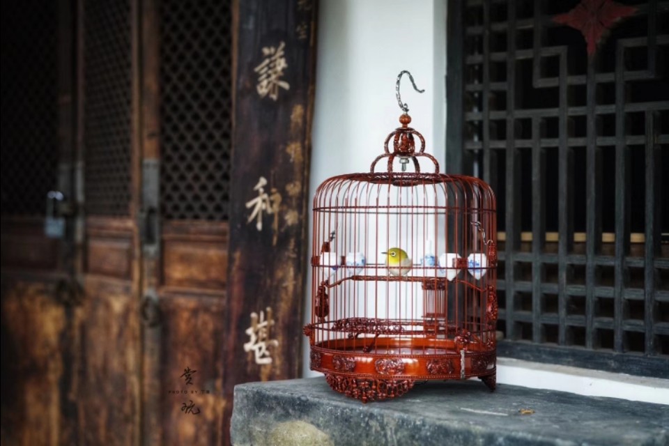 一个闲字一个鸟字读什么,一个闲一个木字念什么