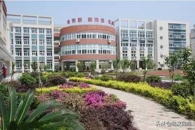 武汉前十小学有哪些,武汉最顶尖的十所小学