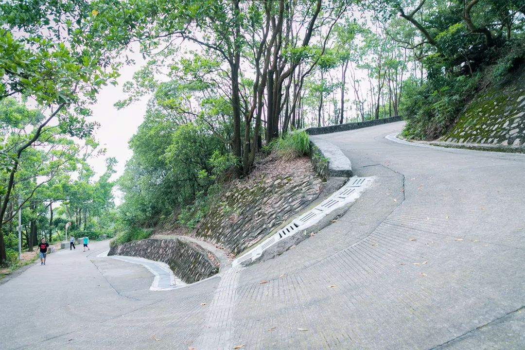 深圳值得打卡的建筑物,深圳最值得打卡的山