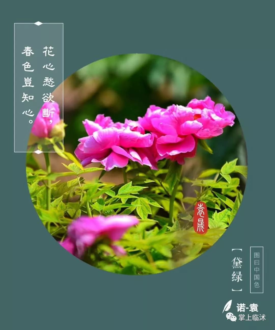 航拍最美临沭,临沭最美风景