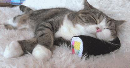 猫咪睡觉时抽搐颤抖,猫咪睡觉的时候抽搐是什么情况