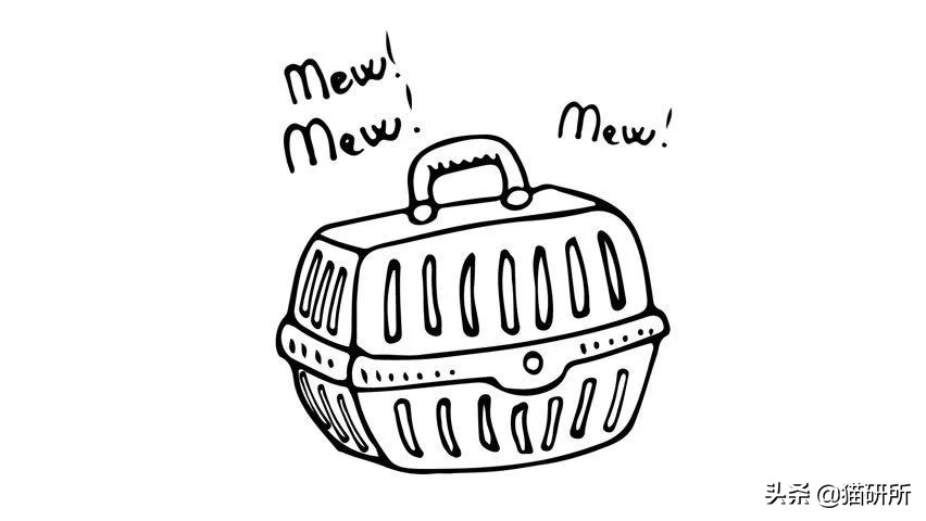 应该如何引导猫咪进航空箱,怎样让猫咪不害怕主人