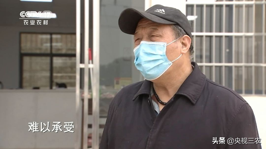 90后的湖北村支书,湖北最硬核村支书