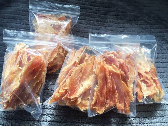 养狗新手入门必备知识,养狗知识大百科入门篇