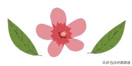 沙井清平实验学校2024增加分校吗,沙井新增一所学校