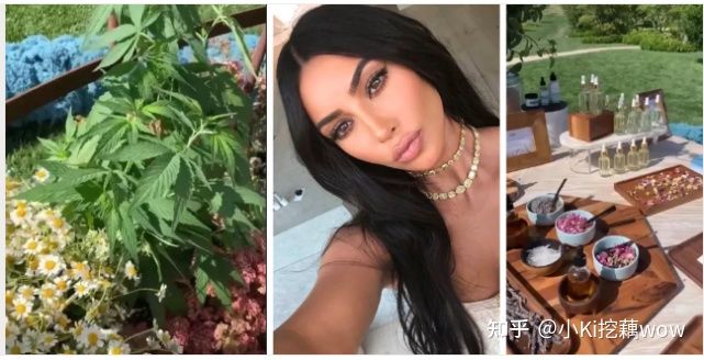 哪些产品有cbd成分,cbd是什么成分