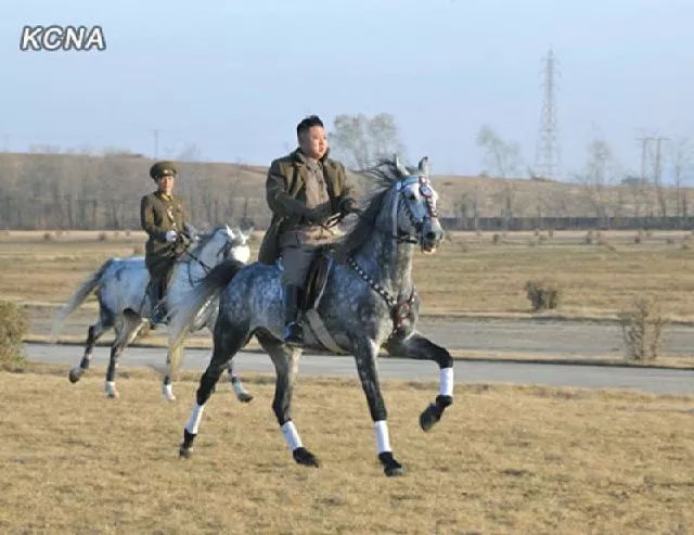 白马踏雪山金正恩座骑大有来头｜除了帅气人类为何钟情白马？