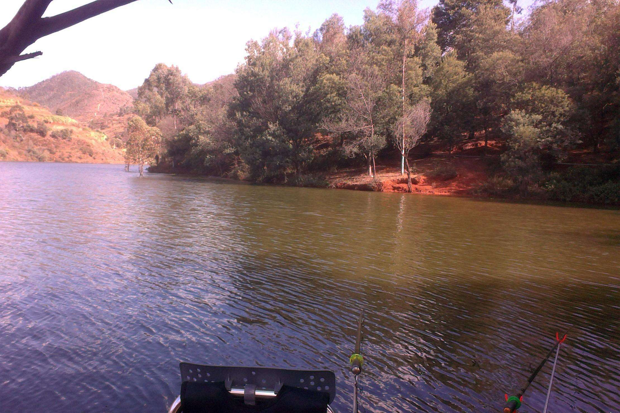 钓鱼小药的使用技巧和方法图片,钓鱼小药使用的讲解方法